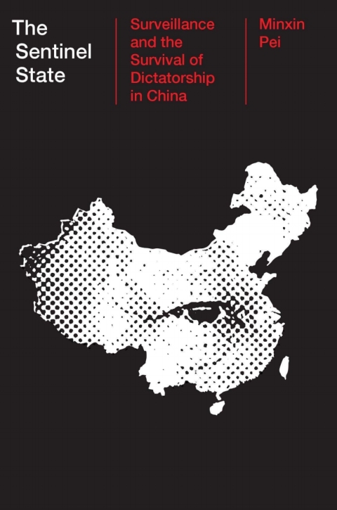 Cover image for book The Sentinel State