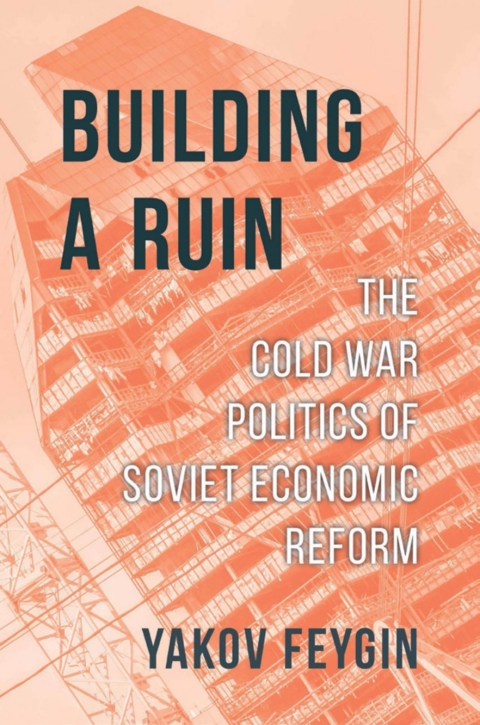 Cover image for book Building a Ruin