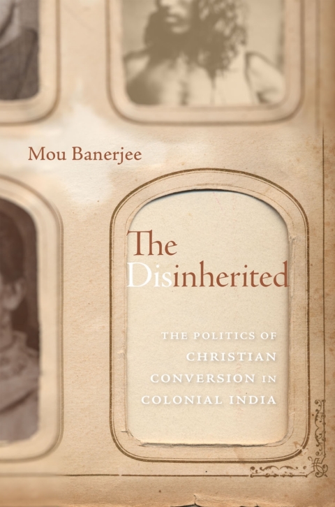 Cover image for book The Disinherited