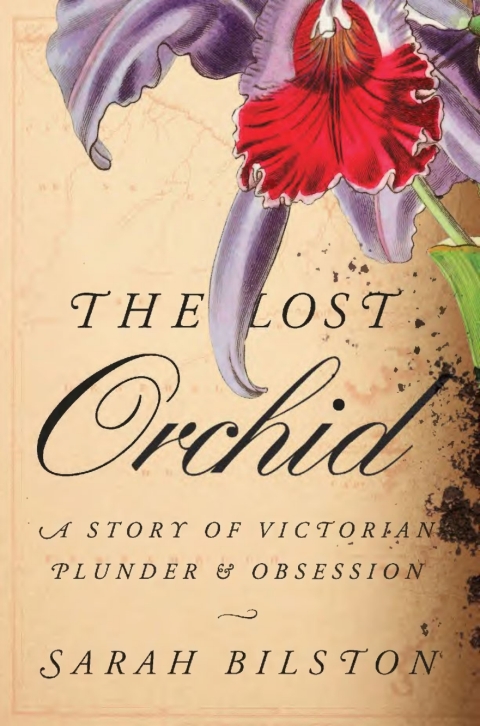 Cover image for book The Lost Orchid