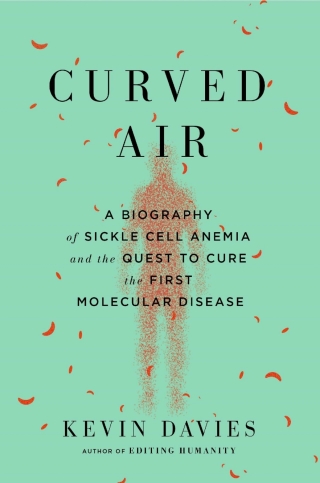 Curved Air