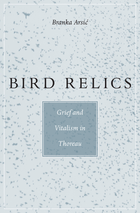 Cover image for book Bird Relics