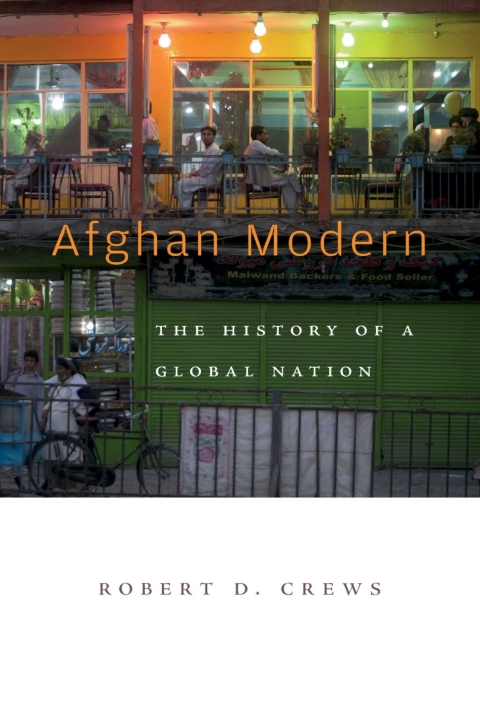 Cover image for book Afghan Modern