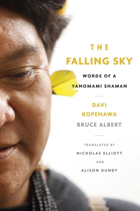 Cover image for book The Falling Sky