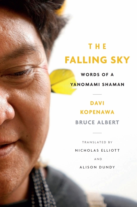 Cover image for book The Falling Sky