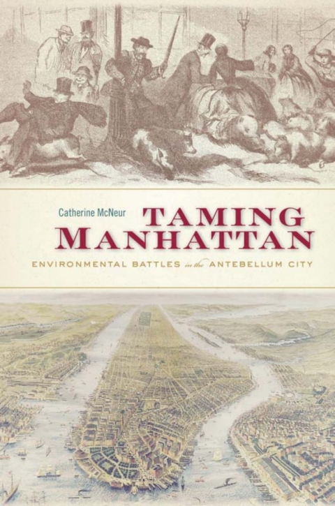 Cover image for book Taming Manhattan