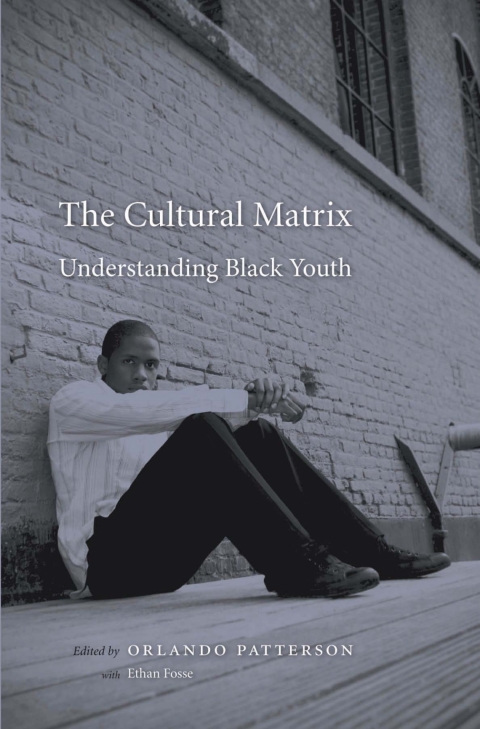 Cover image for book The Cultural Matrix