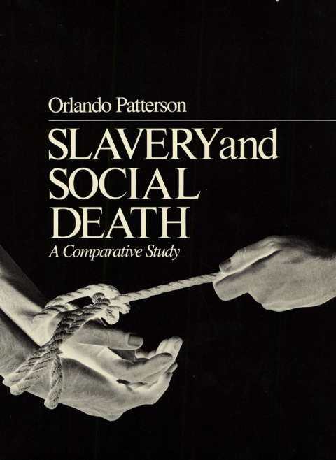 Cover image for book Slavery and Social Death