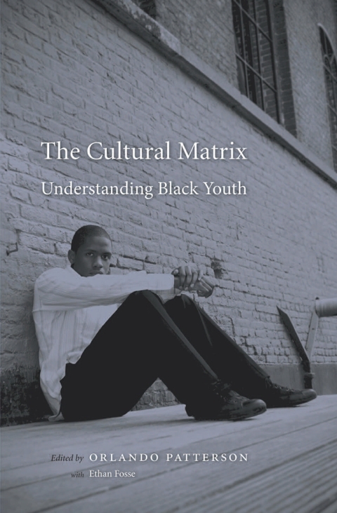 Cover image for book The Cultural Matrix
