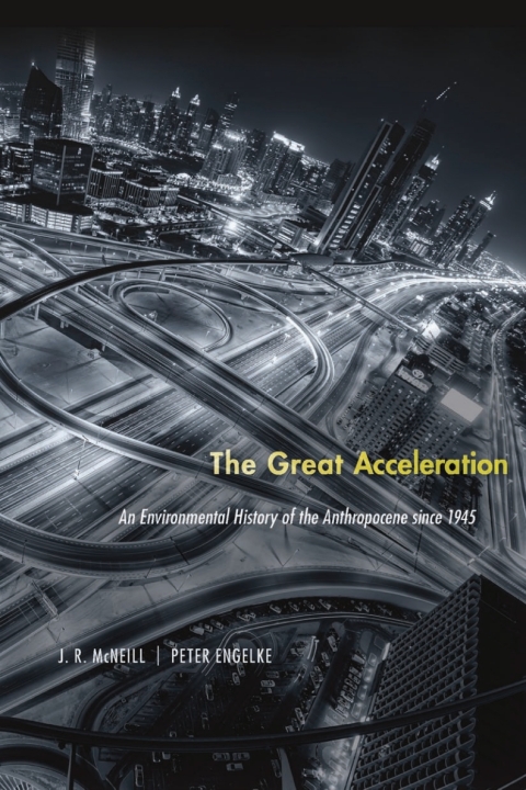 Cover image for book The Great Acceleration