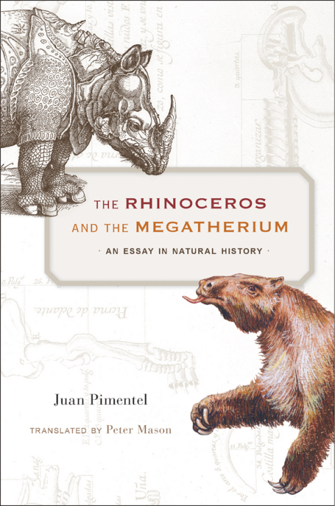Cover image for book The Rhinoceros and the Megatherium