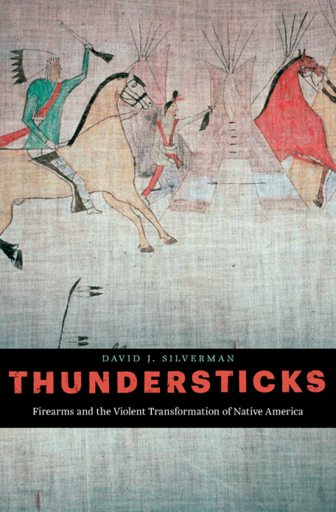 Cover image for book Thundersticks