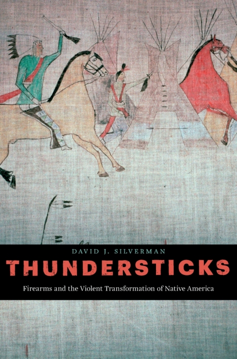 Cover image for book Thundersticks