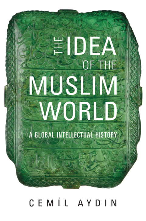 Cover image for book The Idea of the Muslim World