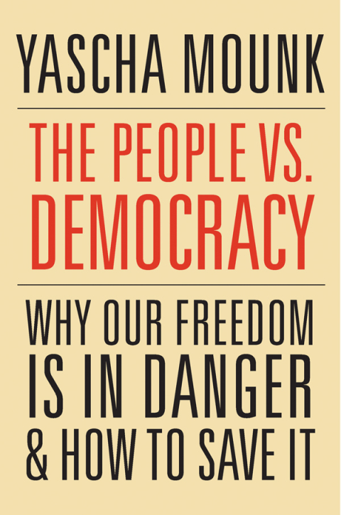 Cover image for book The People vs. Democracy