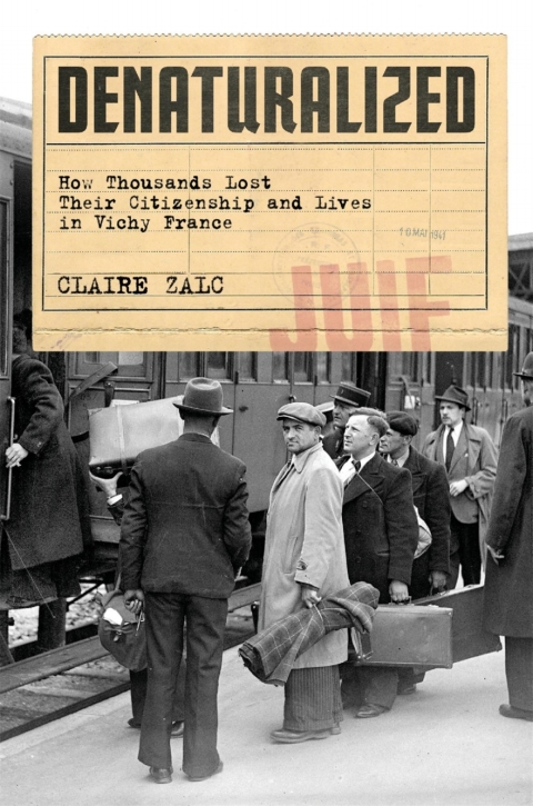 Cover image for book Denaturalized