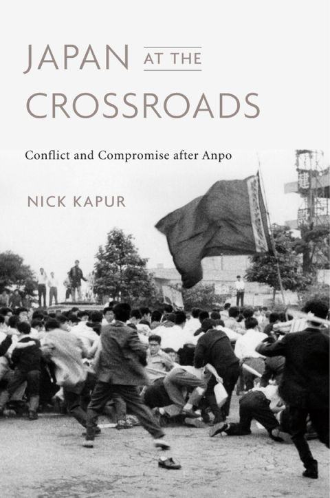 Cover image for book Japan at the Crossroads