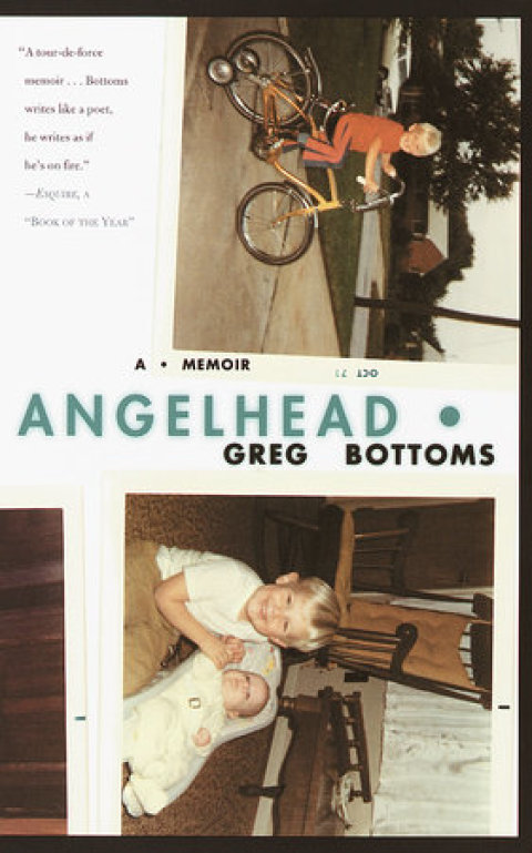 Cover image for book Angelhead