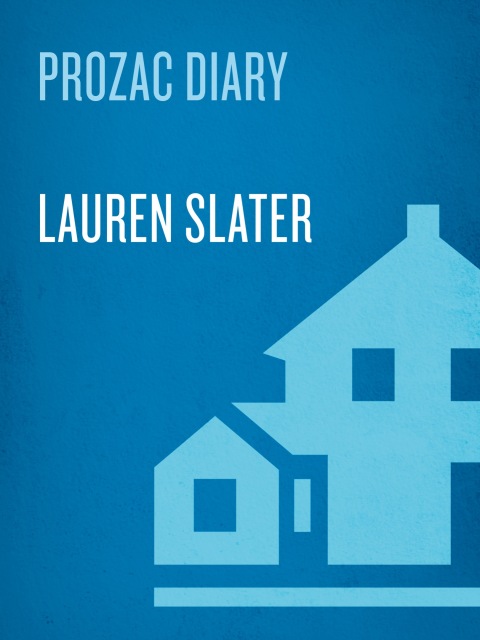 Cover image for book Prozac Diary