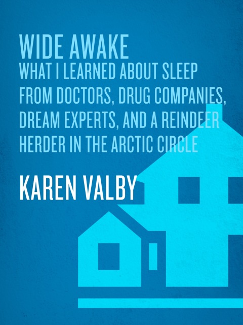 Cover image for book Wide Awake