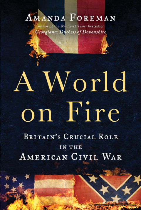 Cover image for book A World on Fire