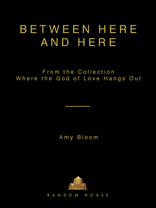 Between Here and Here (short story)