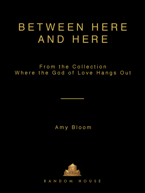 Cover image for book Between Here and Here (short story)