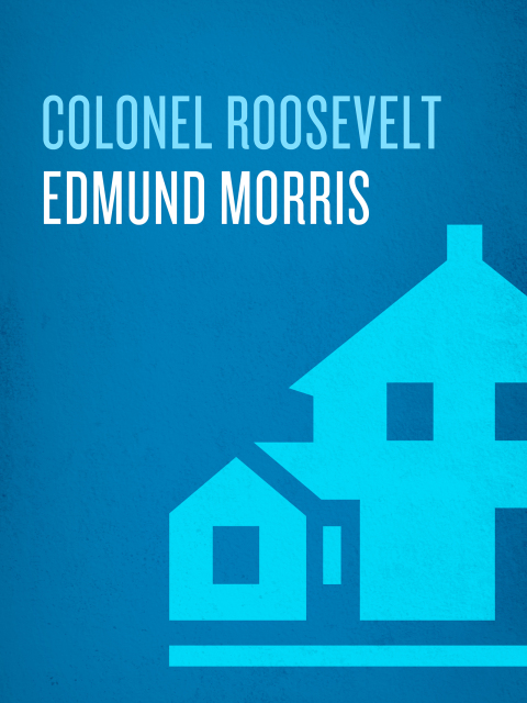 Cover image for book Colonel Roosevelt