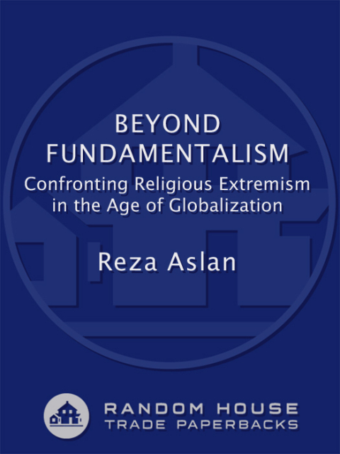 Cover image for book Beyond Fundamentalism