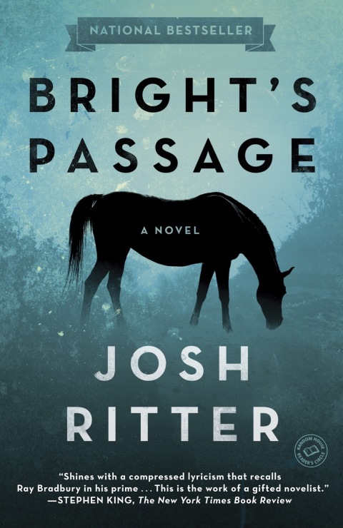 Cover image for book Bright's Passage