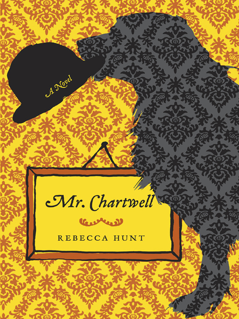 Cover image for book Mr. Chartwell