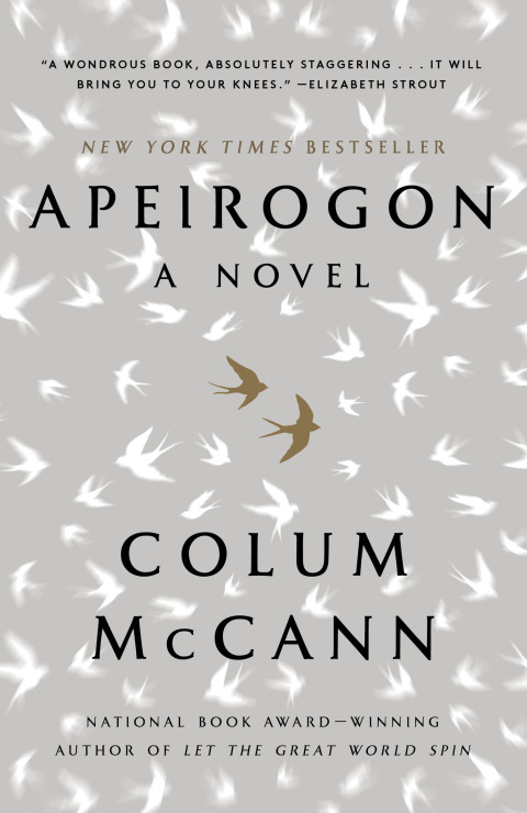Cover image for book Apeirogon: A Novel