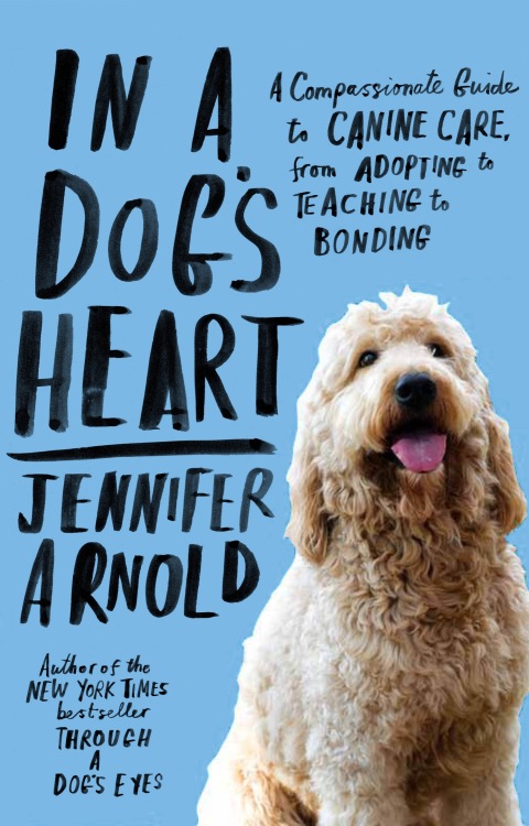 Cover image for book In a Dog's Heart