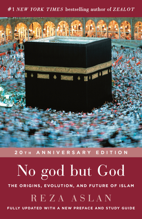 Cover image for book No god but God (Updated Edition)