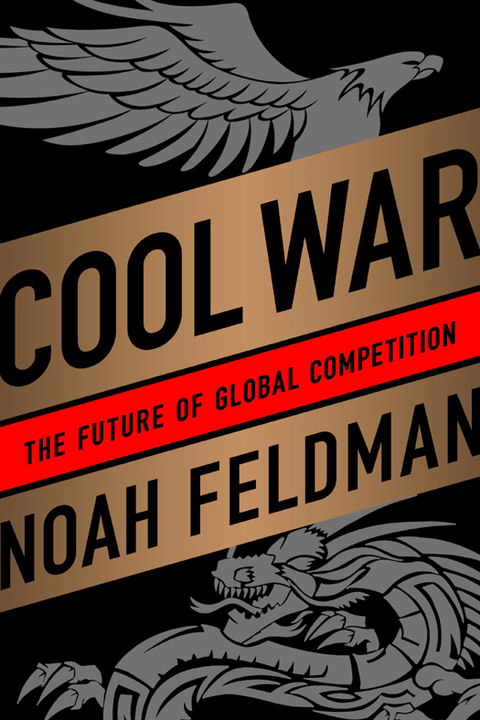 Cover image for book Cool War