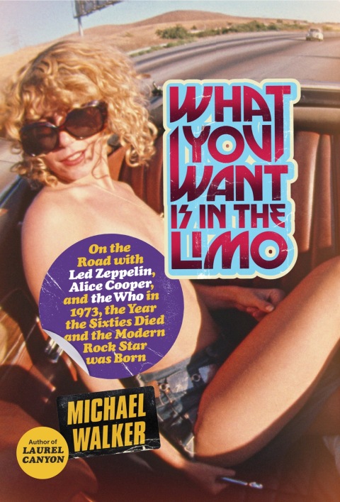 Cover image for book What You Want Is in the Limo