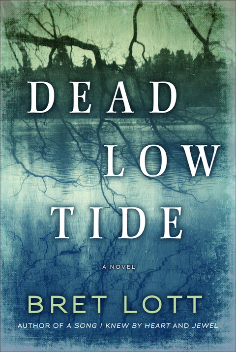 Cover image for book Dead Low Tide
