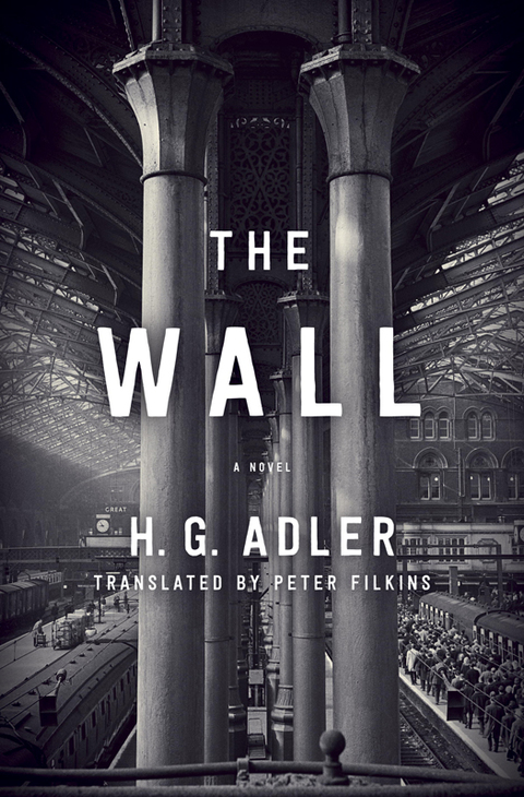 Cover image for book The Wall