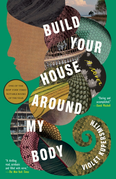 Cover image for book Build Your House Around My Body