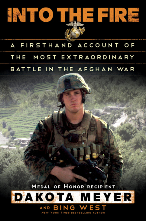 Cover image for book Into the Fire