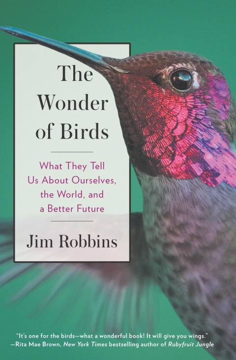 Cover image for book The Wonder of Birds