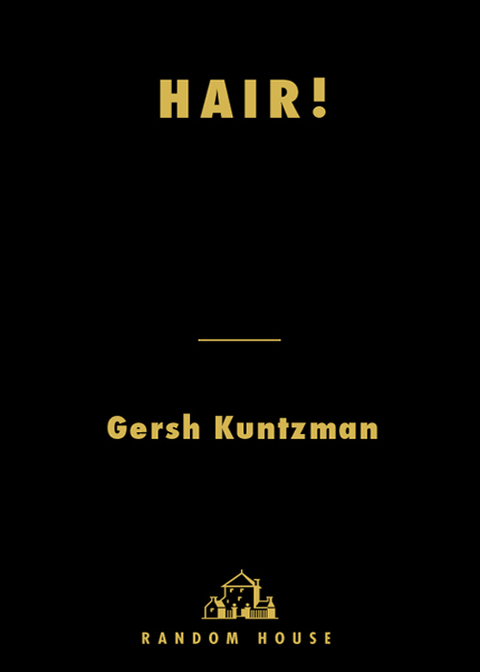 Cover image for book Hair!
