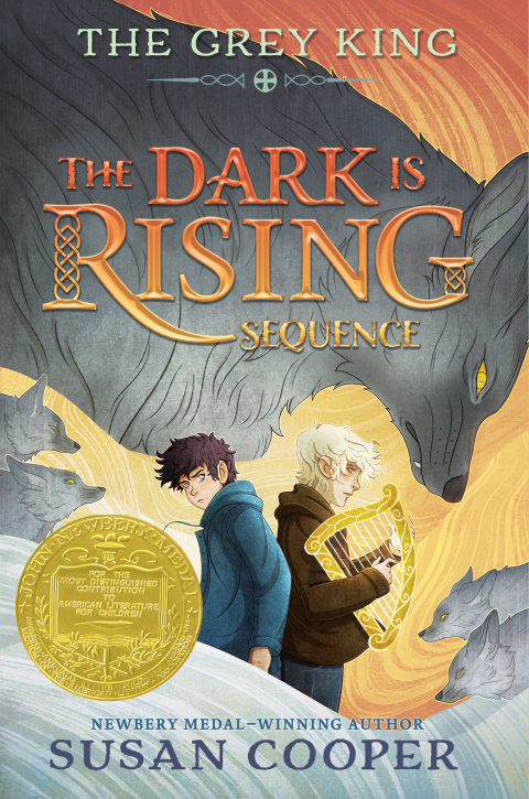 Cover image for book The Grey King