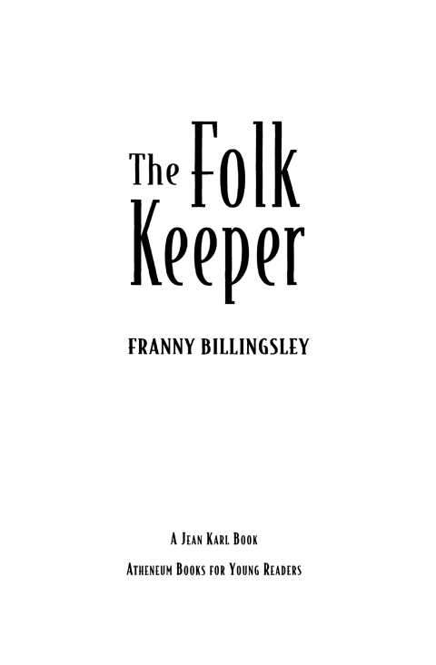 Cover image for book The Folk Keeper