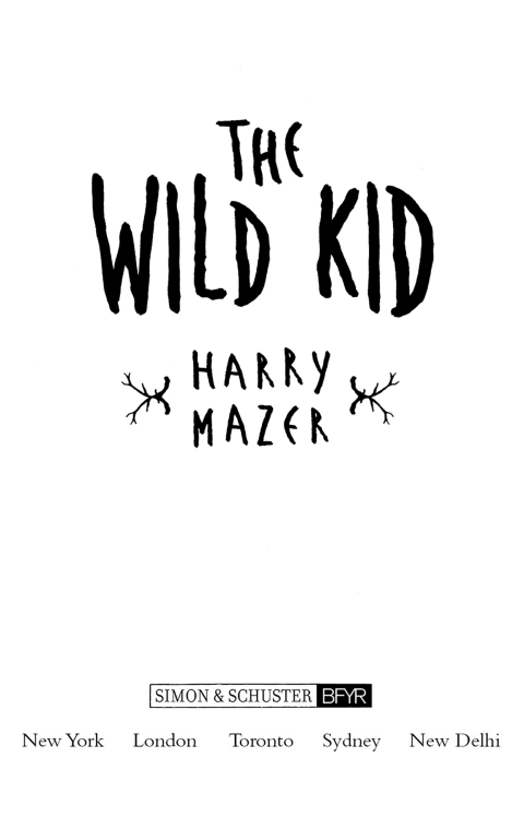 Cover image for book The Wild Kid