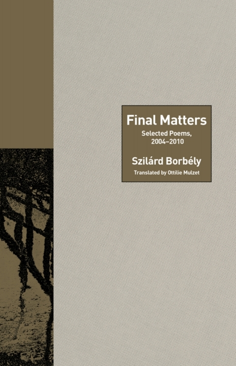 Cover image for book Final Matters