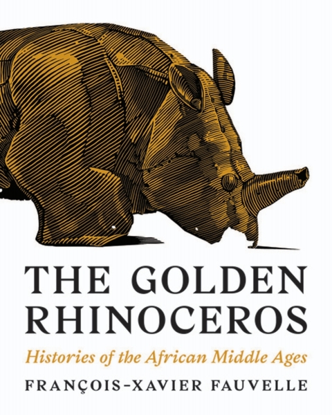 Cover image for book The Golden Rhinoceros