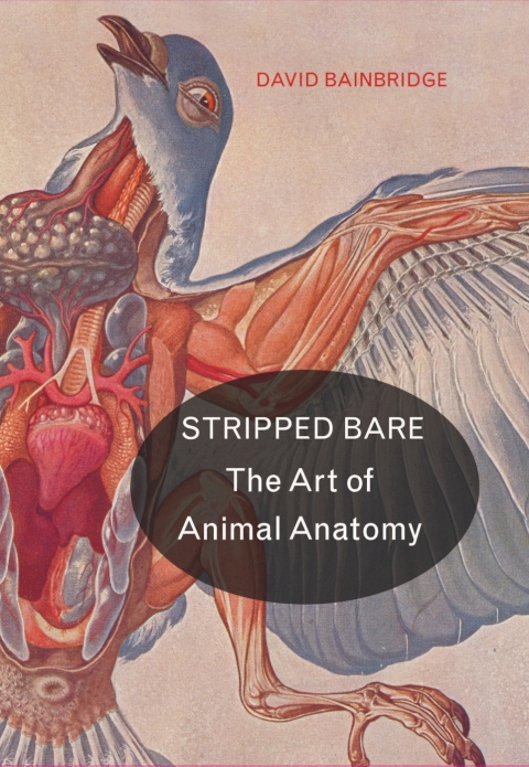 Cover image for book Stripped Bare
