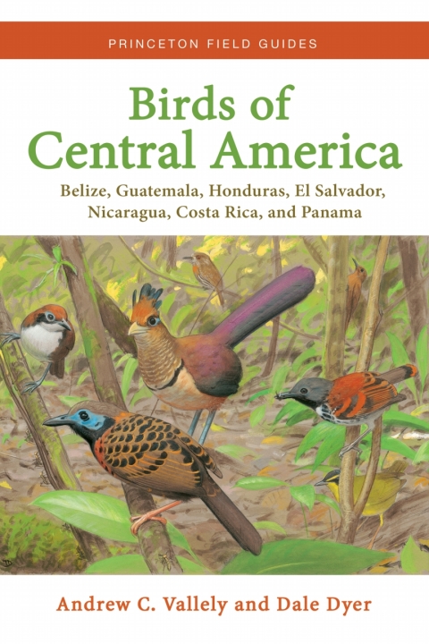 Cover image for book Birds of Central America