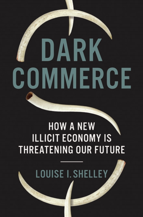 Cover image for book Dark Commerce